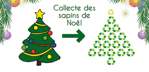 Collecte-des-sapins