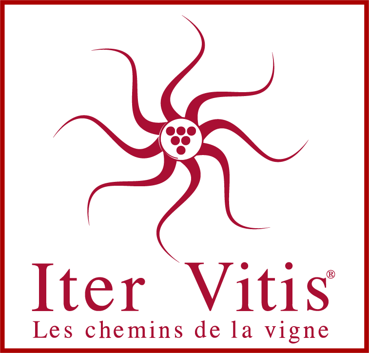 IterVitis Logo